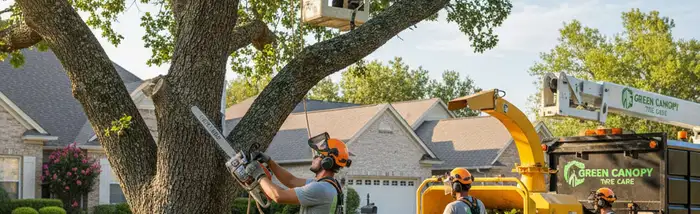 Tree service crew in Salt Lake City, UT providing safe tree removal and pruning for homes and businesses