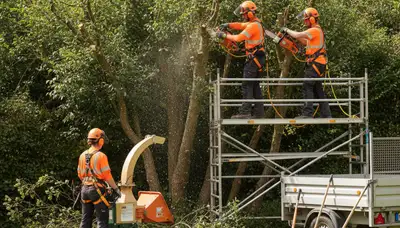 Arbor Tree Care removes overgrown shrubs in Salt Lake City, UT for a clean, safe landscape