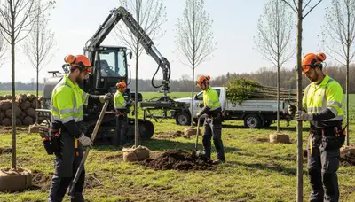 Tree planting service in Salt Lake City, UT for healthy landscape growth