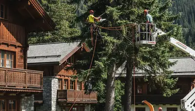 Tree service crew in Salt Lake City, UT providing professional tree removal and trimming