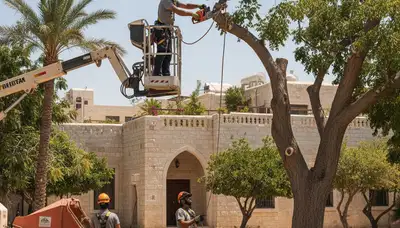 Tree service crew in Salt Lake City, UT performing professional tree removal and pruning cleanup