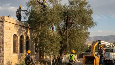 Salt Lake City, UT tree service crew removing a tree with professional equipment