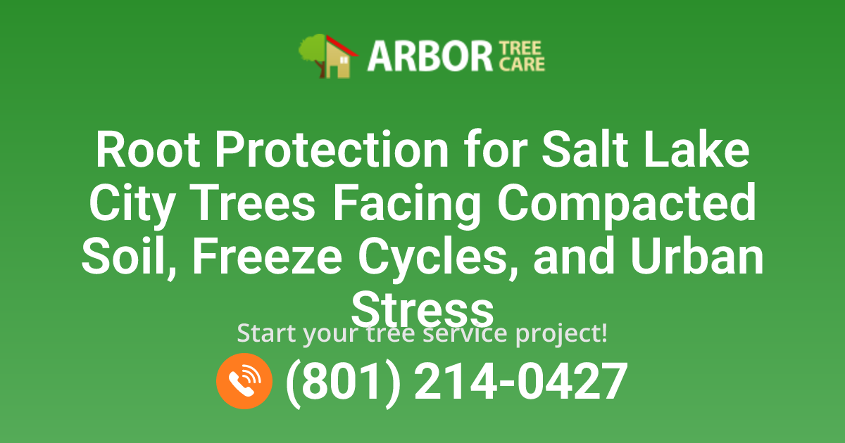 Slc Tree Protection Root Protection in Salt Lake City, UT | Arbor Tree Care